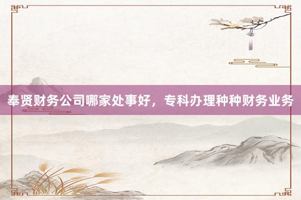 奉贤财务公司哪家处事好，专科办理种种财务业务