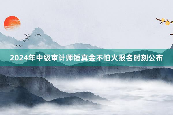 2024年中级审计师锤真金不怕火报名时刻公布
