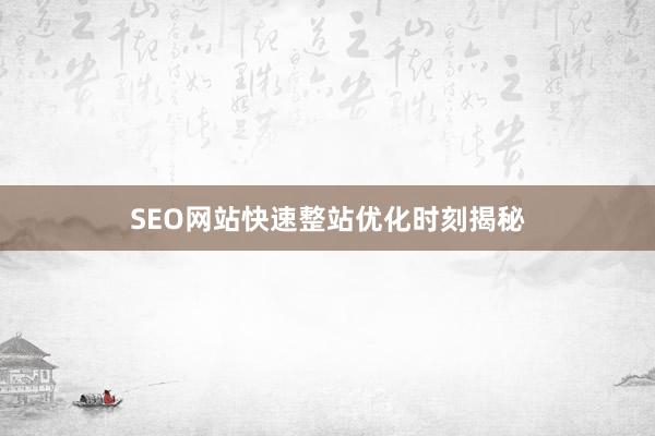 SEO网站快速整站优化时刻揭秘