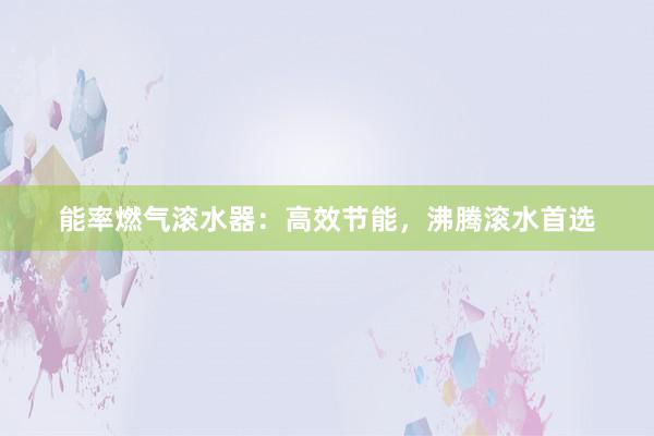能率燃气滚水器：高效节能，沸腾滚水首选