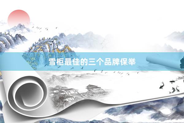 雪柜最佳的三个品牌保举