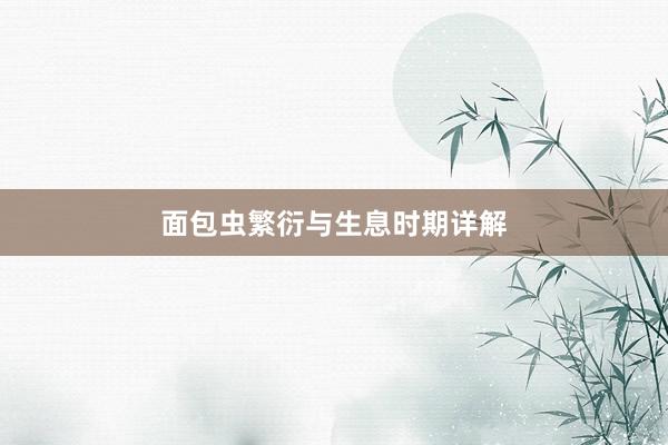 面包虫繁衍与生息时期详解