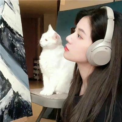 银翼情人